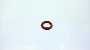 View Engine Oil Dipstick Tube Seal. O Ring. Full-Sized Product Image 1 of 10